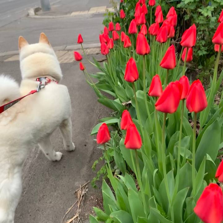 2277a365 99db 48e5 82f4 2d4293f0fb26 1557471859819