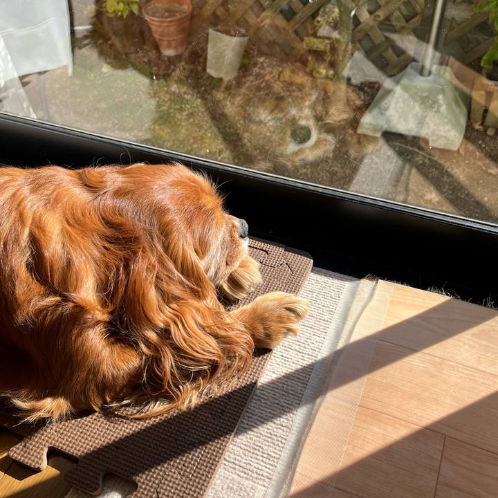 2277c182 4b53 45f7 9100 659e9bad4a2b 1733023959446