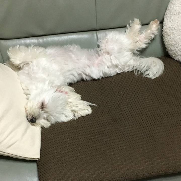 2277df75 4db1 42d3 86ca 4b309a9d2515 1537104122986