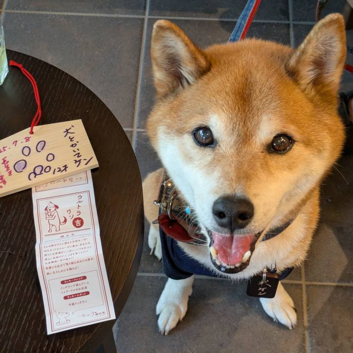 22782f52 341b 40f8 9f5e fdff090c288c 1752064284890