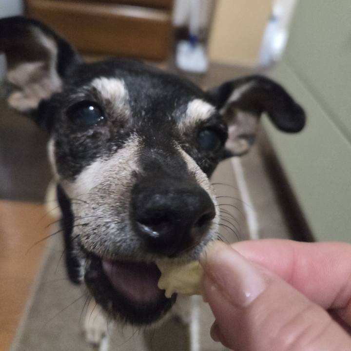 22784722 7037 4459 af8d b3146664af0b 1770839393663