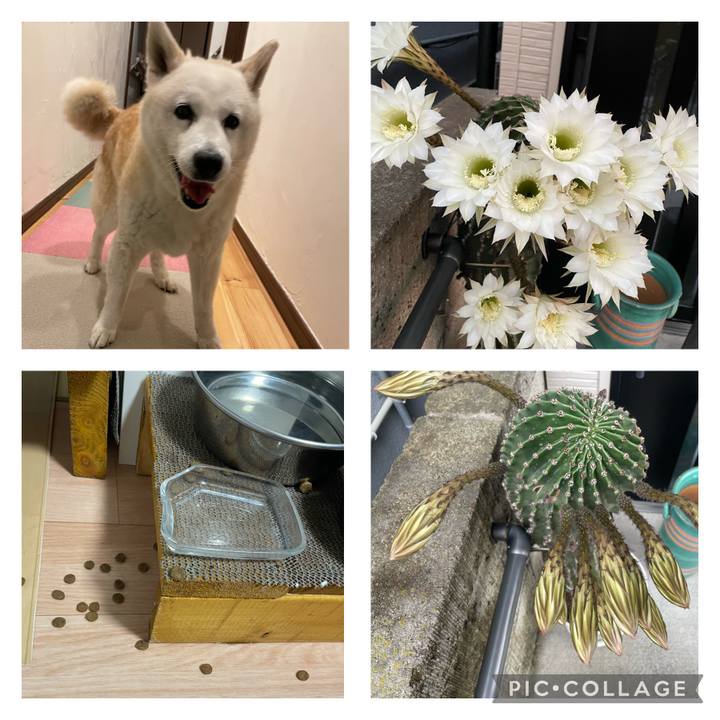 2278a6a8 b629 4187 9976 ef75e208fbc0 1686321953285