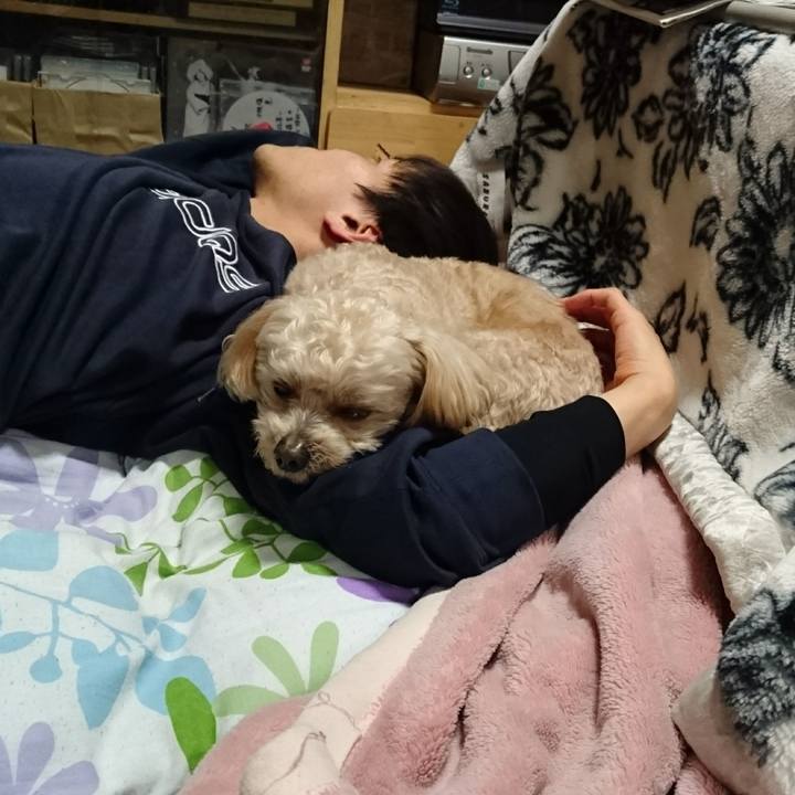 2278b4eb 0cf2 41f0 96e1 e83944aa2b6a 1585146613013