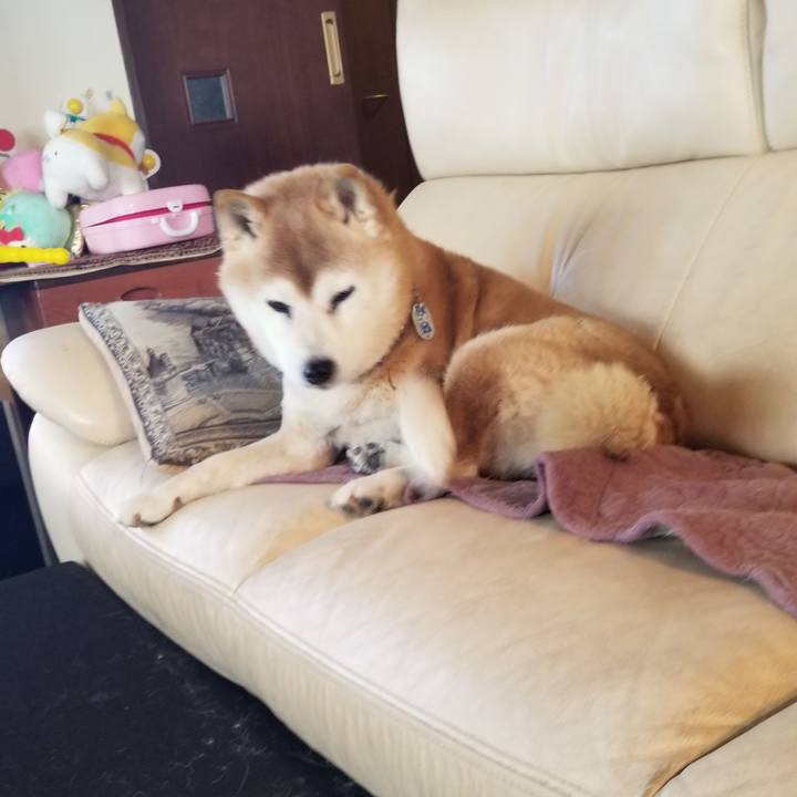 2278bdab c6f7 42ff 8d61 24a243ede763 1740093622618