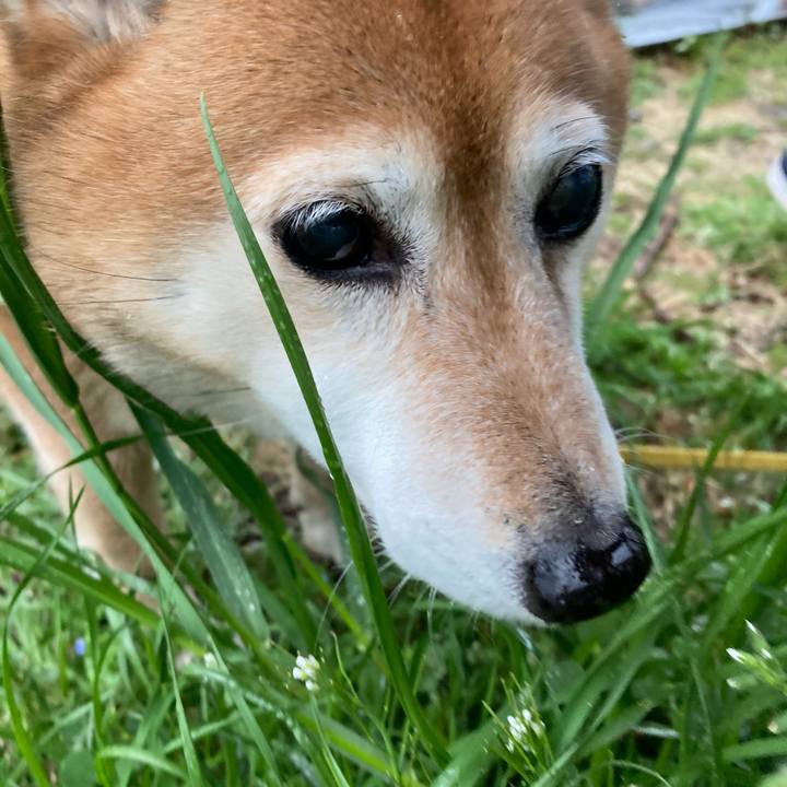 2278d98f 1bed 4c46 a785 86f04544384f 1647680503928