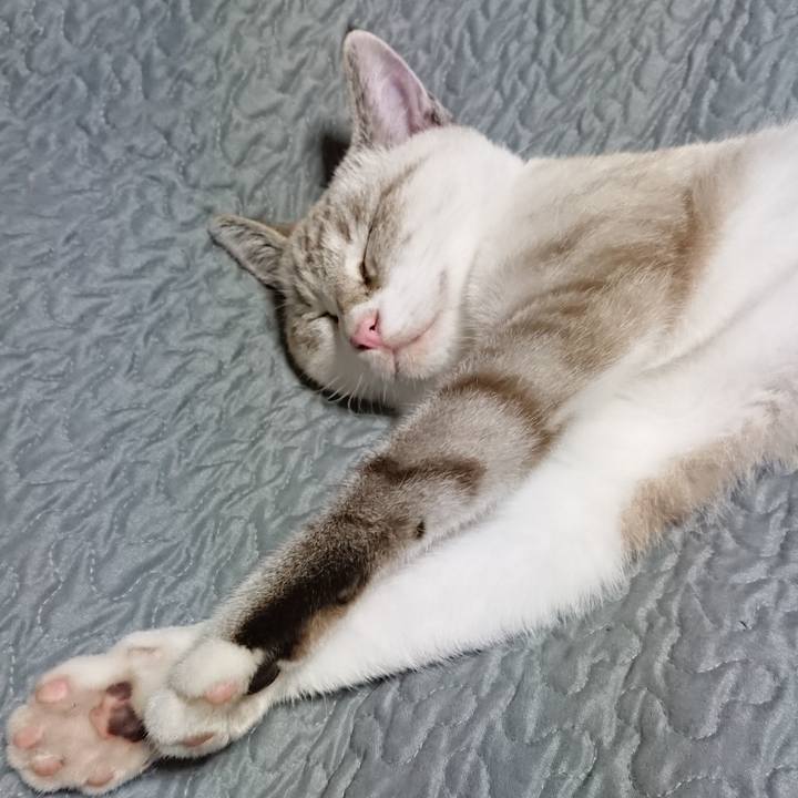 2278e37a 4397 4966 9ec9 efb7b7892b2c 1538231096118