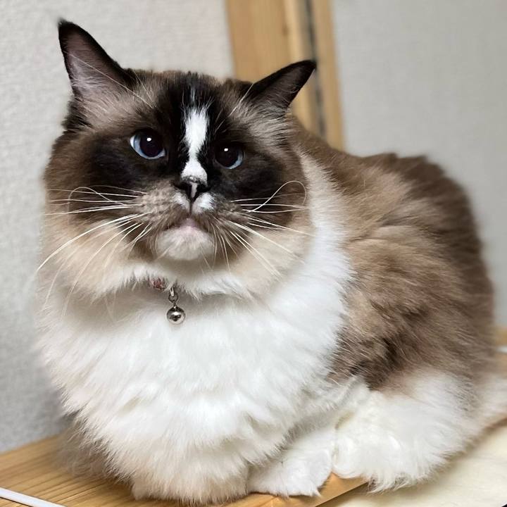 227900f1 9081 4738 811a d34cd075a19e 1659878798272