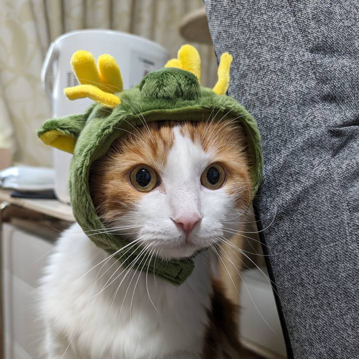 22790c4a ef71 4a9c 91a6 f3ebd3e118a1 1699672606481