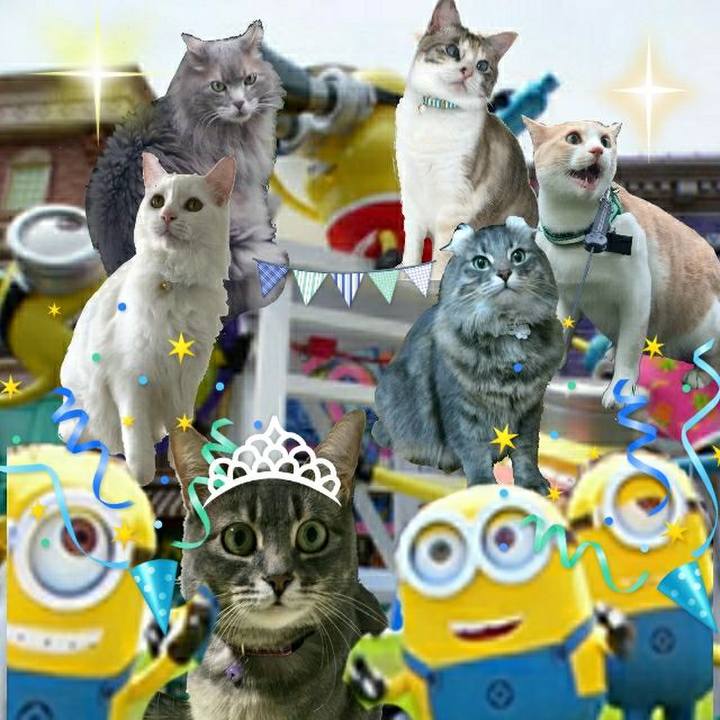 22794162 c113 4855 be6f 4a75882c11a8 1529196606541