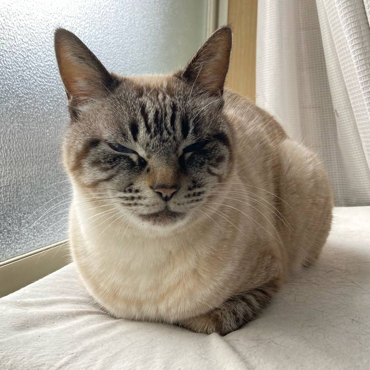 22797d70 4de5 427d 828f b460158a9f58 1773640962145