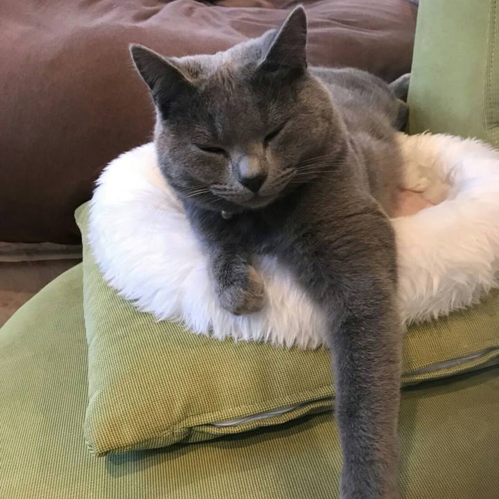 2279ab64 ce65 4ab3 8910 a96727ce3d32 1512360196625