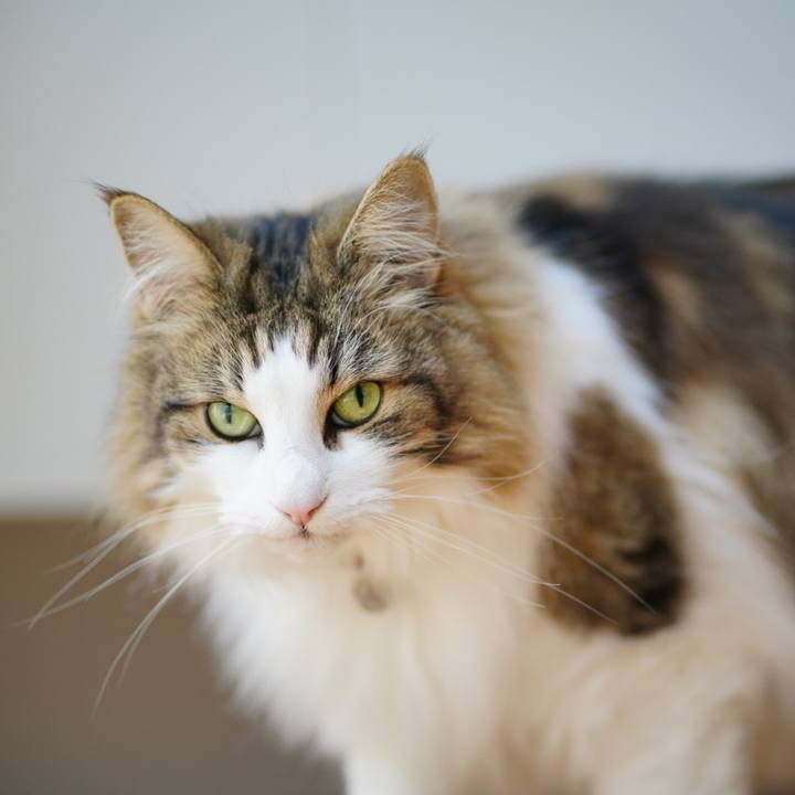 2279b5c4 34b3 49f9 ac40 2a7fb88bcd83 1684210616831