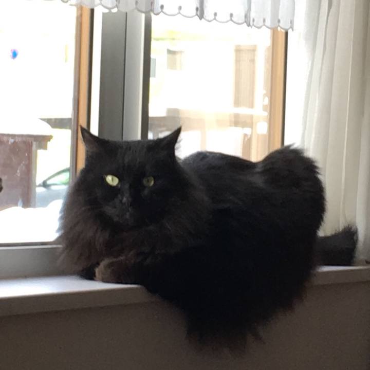 2279de96 b609 43cd 8141 f30e9a089aa0 1547965952005