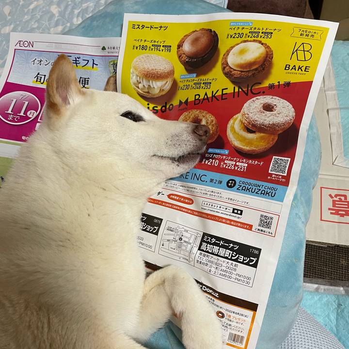 227a15ae 64c0 483b 9a3e 752b824d172e 1657077698890