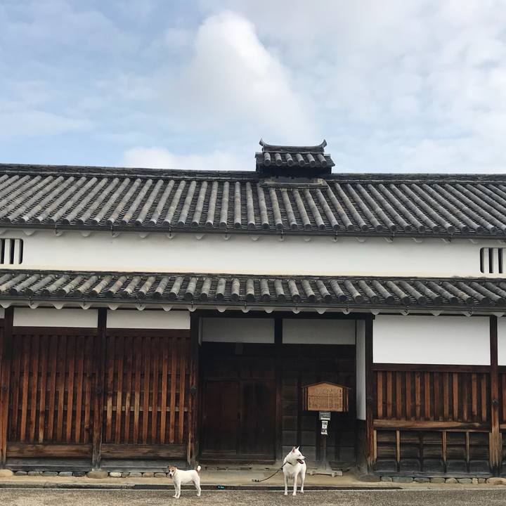 227a2c7c 74e3 4ba4 a4b5 b4f8fa91308c 1528507571530