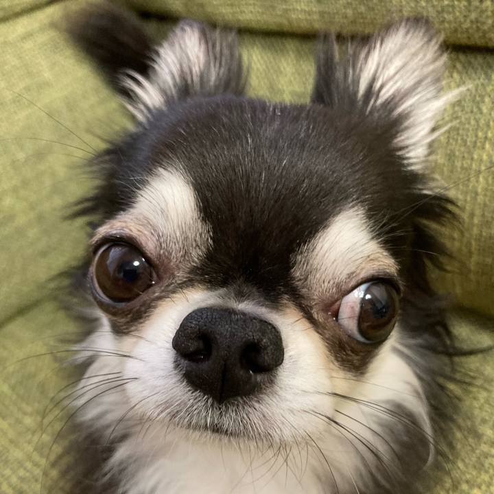 227a4194 c4fe 41be b663 5b9445ee2ca1 1679807639473