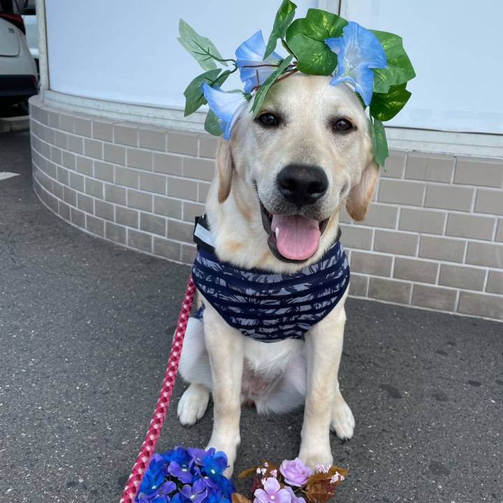 227a776e 3756 424f 9410 1b3444933f5b 1624262432957