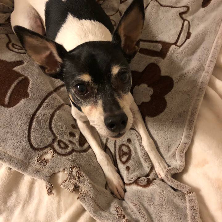 227a9d07 e120 444e bcbc f40f6a2cc813 1550057240509