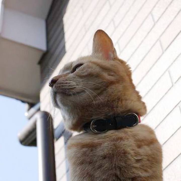 227a9f5d 54a6 4860 88d6 efee62929239 1764202140261