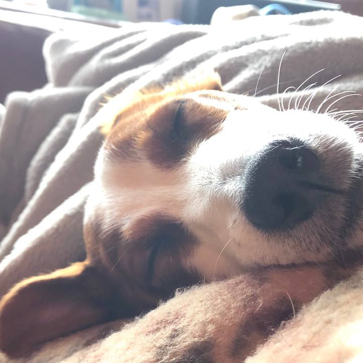 227ab356 94ca 409c b9b8 db82f7b86363 1549701842397