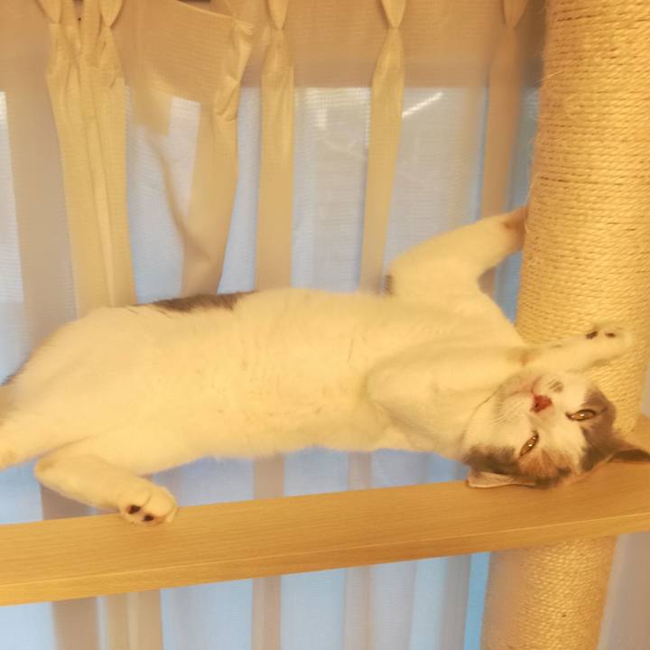 227ab395 bcbc 440d aa50 fc8a2435e186 1535673804167