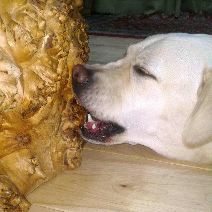 227ad3d1 91c6 4154 8112 f67d3943b716 1507994632511