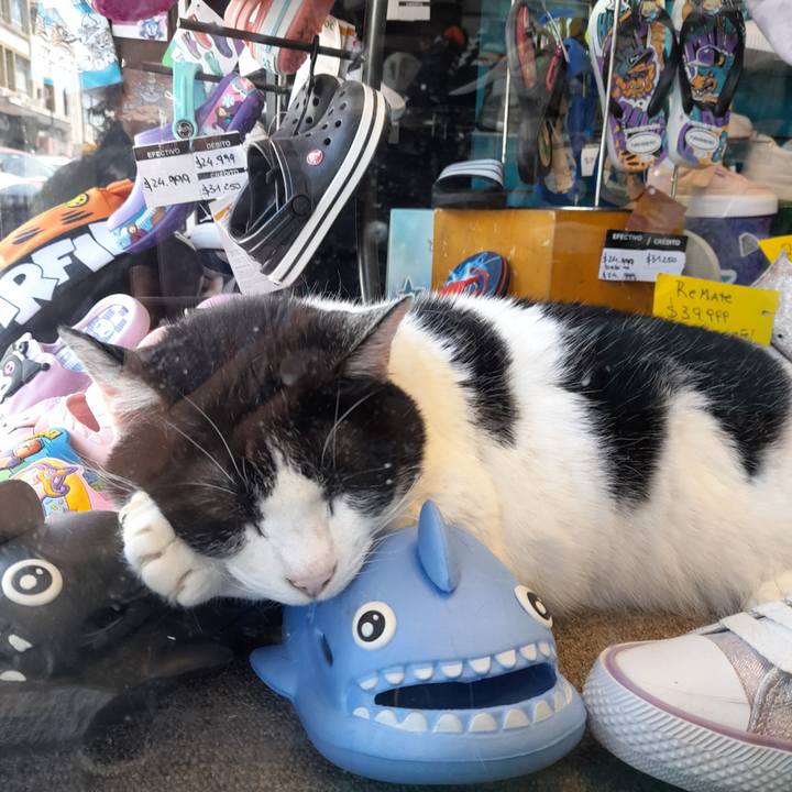 227b00d1 b381 4f1a a077 1d60244d3596 1759975905343