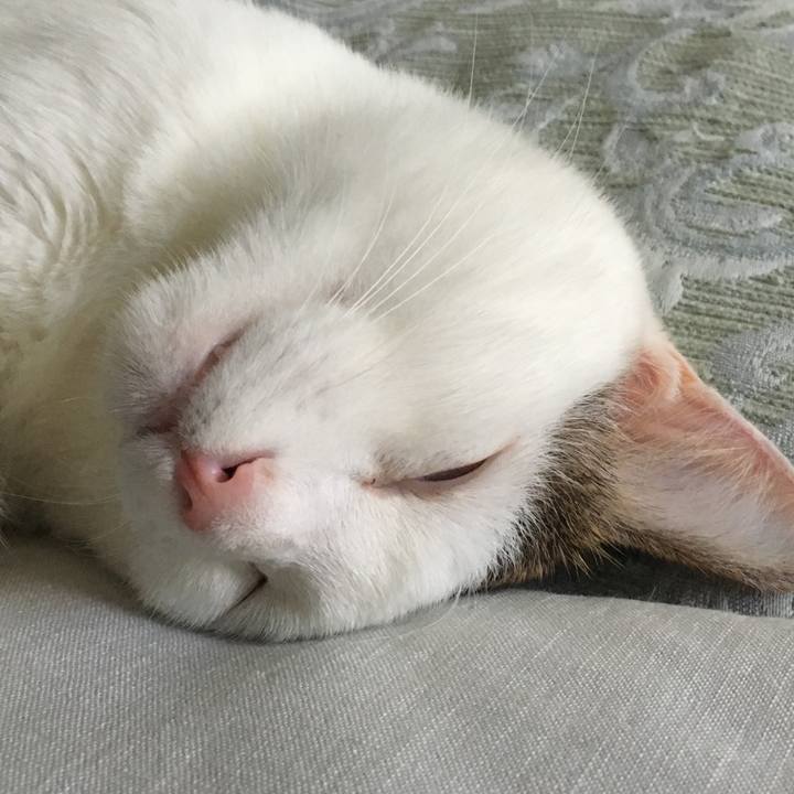 227b1091 74b6 4238 bb00 0220f1709b05 1562413482660