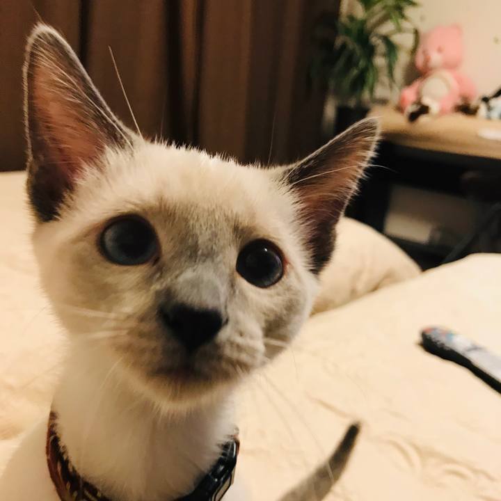 227b1605 9207 4803 9254 e6b185051c25 1572856466383