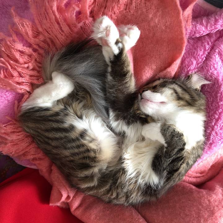 227b213f 43f0 474f a140 b467fd7b11ba 1515733759147