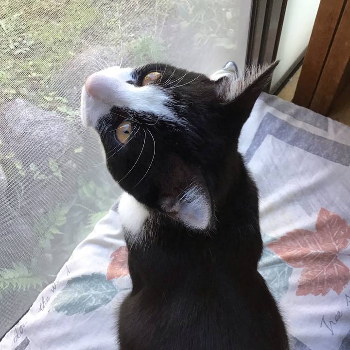 227b2f74 fbbd 4ac9 a6c9 cc4a2b3cface 1635490998582