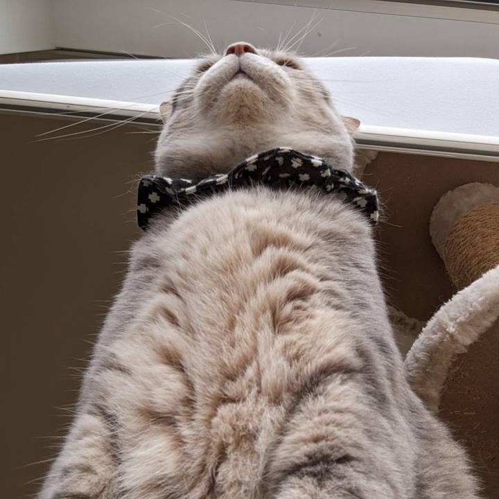 227b484c 47e8 4421 878e 71c0919b4bae 1685071840326