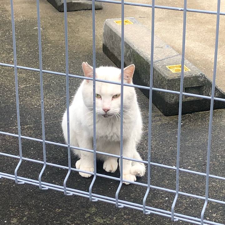 227b4da5 0938 4e56 a2c6 010caa201290 1629273839521