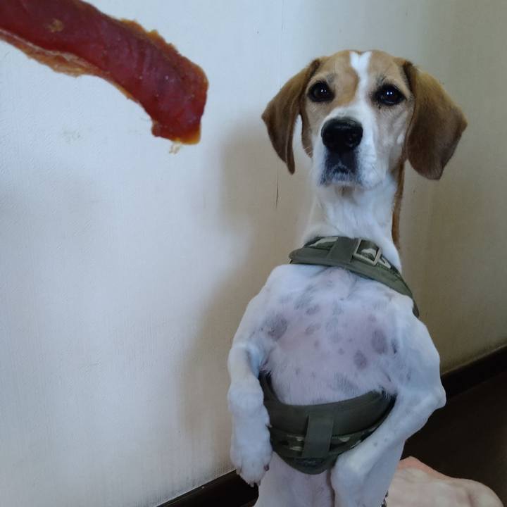 227b5971 b2c5 4349 a8a1 e182d36a65ba 1667659720632