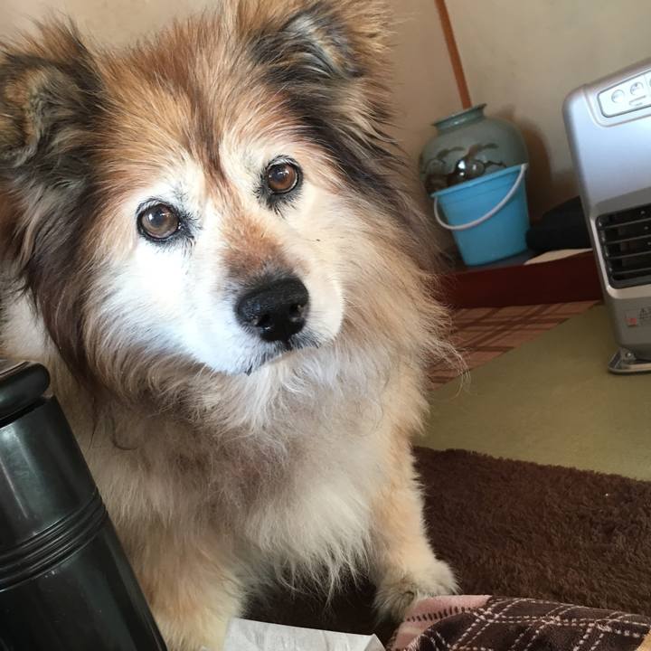 227b5d7b 683f 4a74 bbd4 41afeb1bf504 1550530994000