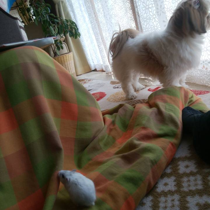 227b79cb 99c4 4edc 9cb5 426ad9ae6e8f 1522542455323