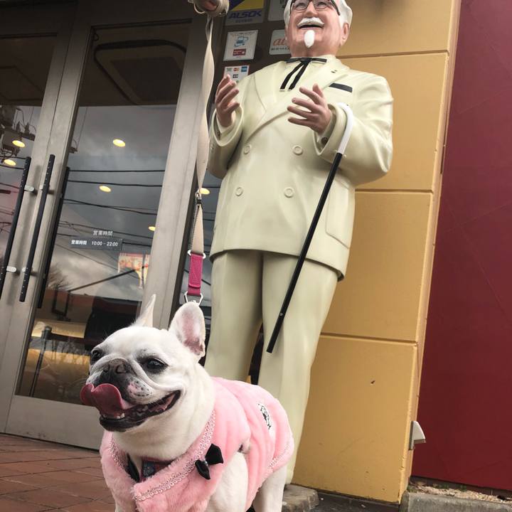 227b7ea1 d0d4 4018 b7ca 3f446f2e9c31 1578813149230