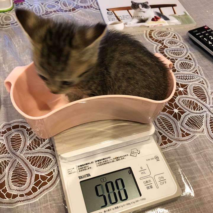 227bd3c0 c455 4224 a549 7086944be2ed 1539962757875