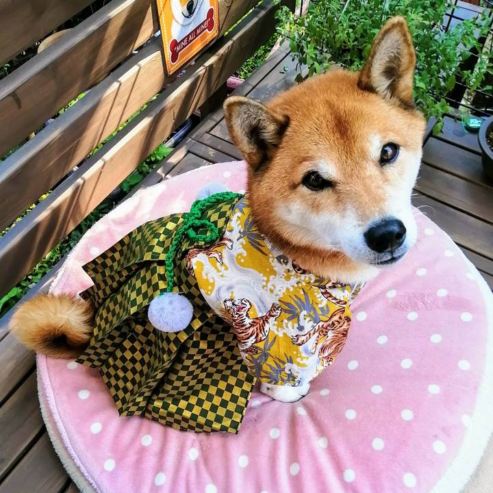 227c00f8 e6a7 4a02 ab96 d8531f9e7478 1636011933798