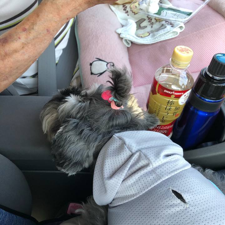 227c5f05 f4f7 4df7 a6c5 07f995c6561d 1694838937150