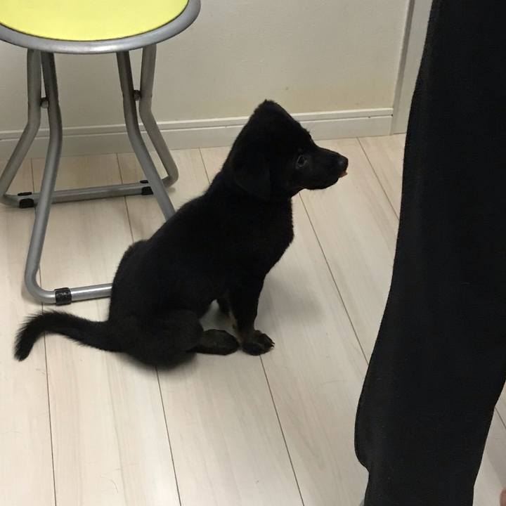 227c66c0 1ad3 4f8d a7d9 67f9b98221b5 1569315593874