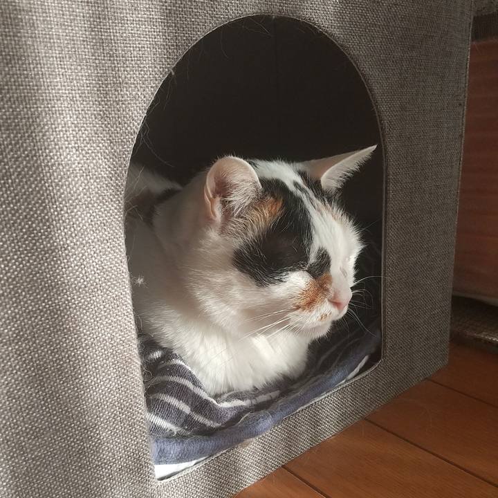 227c6d4f b807 4a40 a9dd 4d732e6670d7 1677482449971