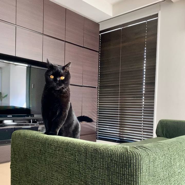 227c8936 1569 4775 9752 07b81cadd6ba 1666252175721