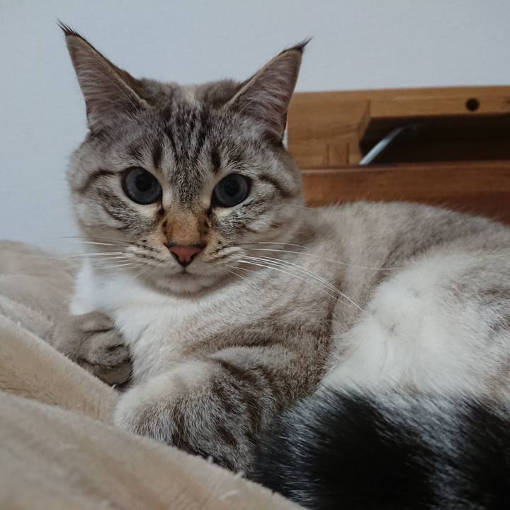 227ca07d ba0e 4feb bae7 94434b62460b 1582764079374