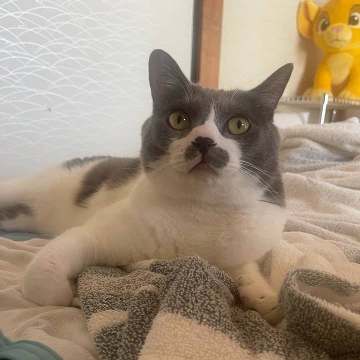 227cc9cb 0364 4de5 a893 fff0a26e6fa8 1695091189459