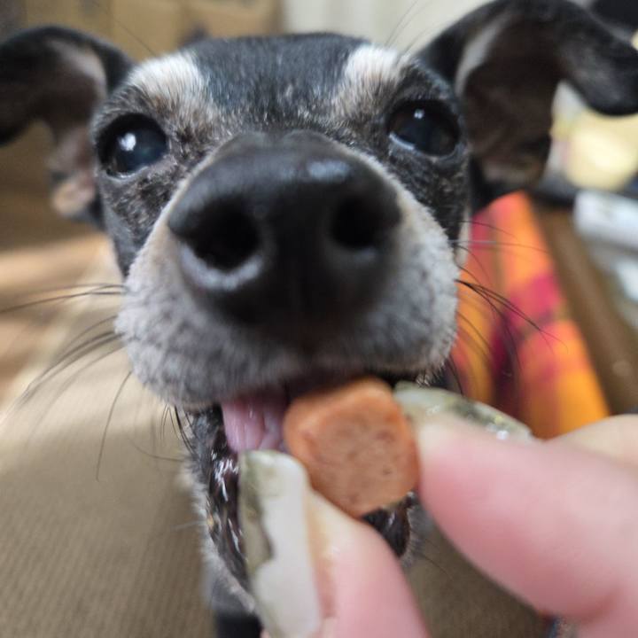 227d0d99 c2af 45f1 b0f0 bc1b471bd2b9 1769918288539