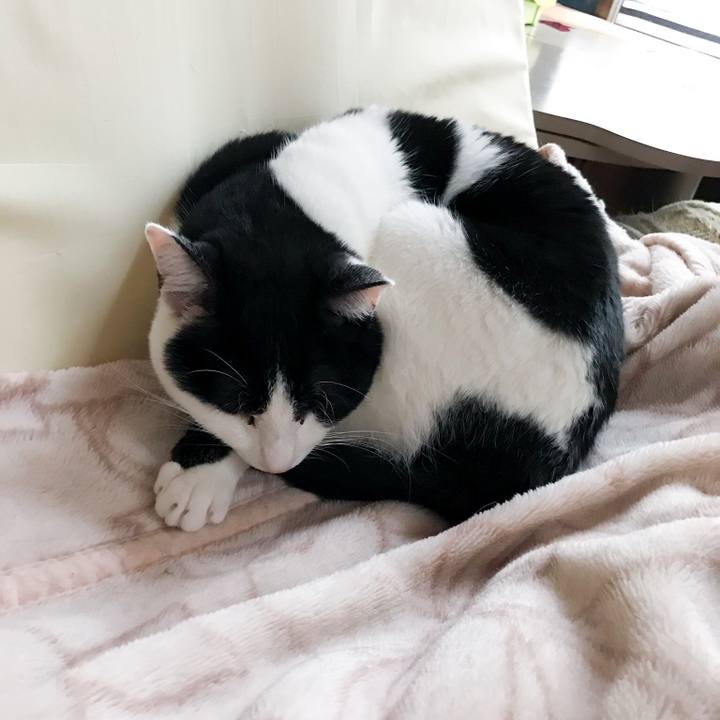 227d31cf 1347 4732 9b7b f08b7f916e31 1513905016420