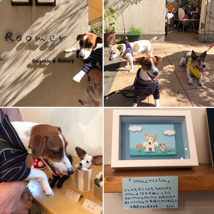 227d5ccc 672a 4056 8a79 cdfaaeda58b0 1540126164930