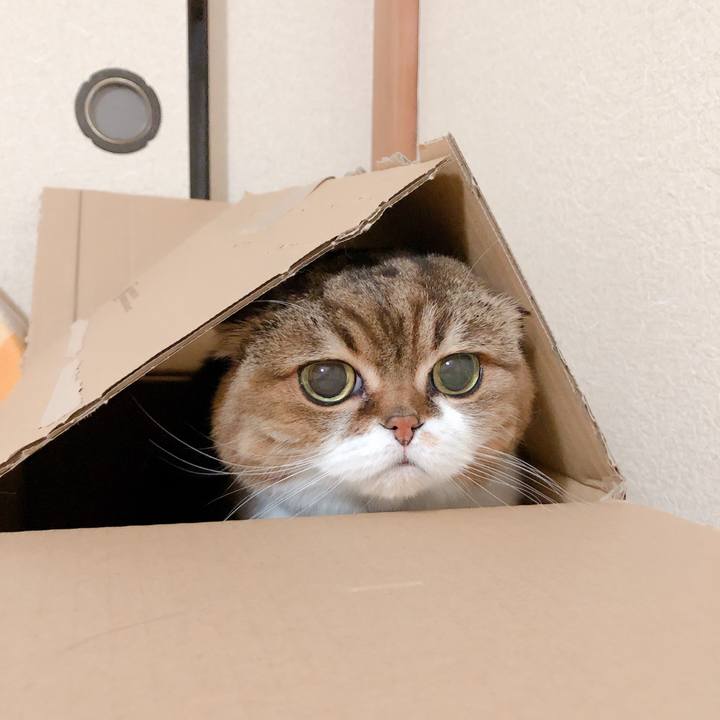 227d9ed0 a5a9 496c 8559 76b4b52ea103 1584197150497