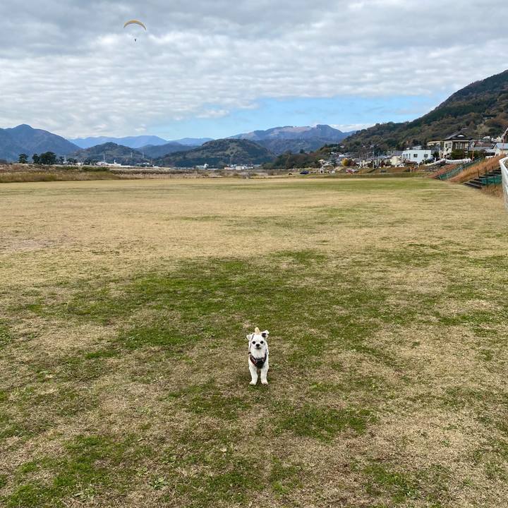 227d9f9c c82a 4b32 a238 5b34cfb11c45 1638788442437